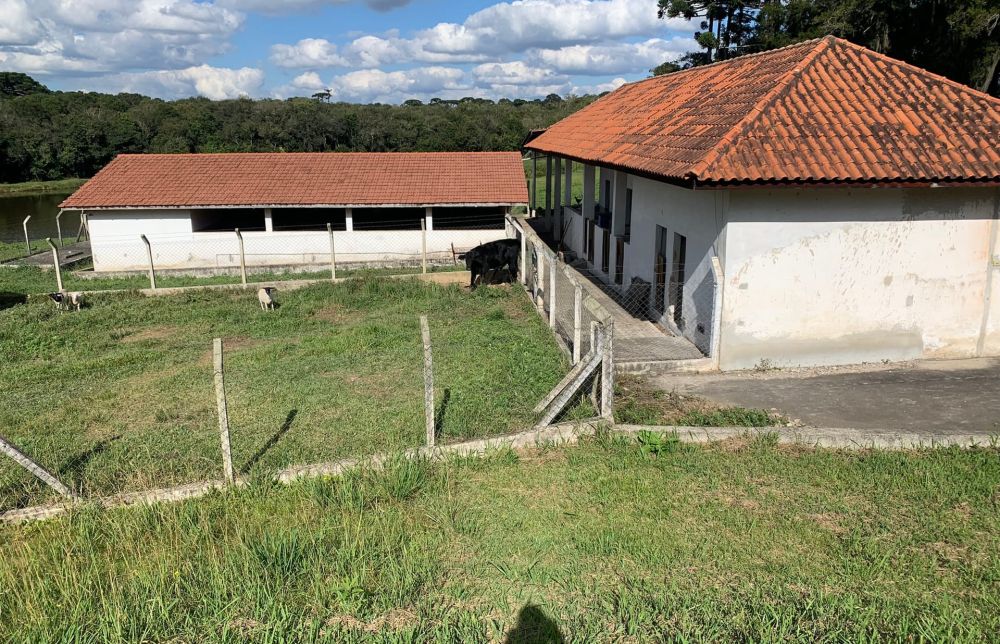 properties